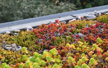 the cost of Thorpe Morieux green roof installation