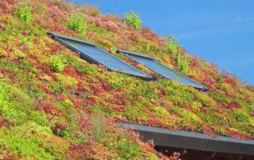 Thorpe Morieux living roof systems
