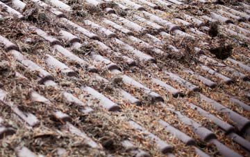 Thorpe Morieux roof cleaning companies