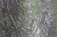 Thorpe Morieux fibreglass roof work